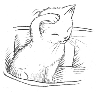 Энджел. Котенок обретает дом Энджел. Котенок обретает дом