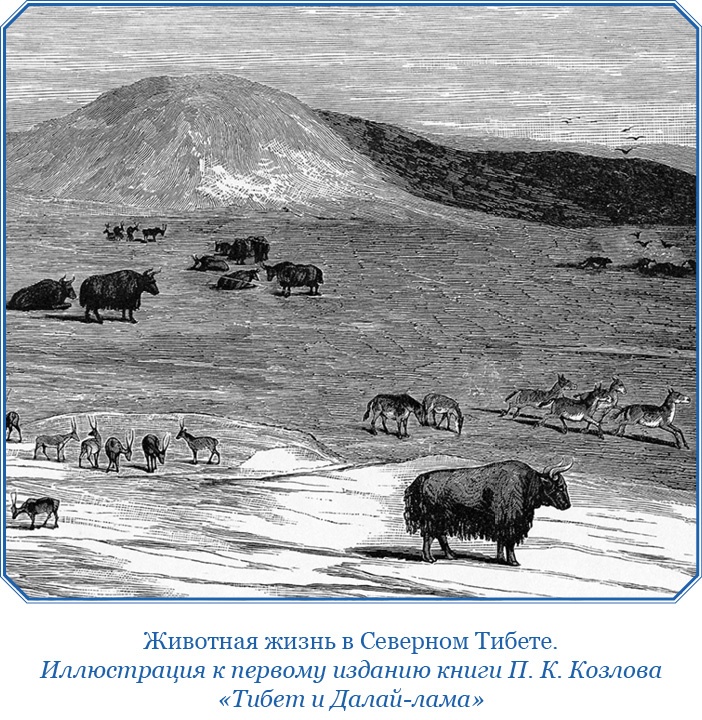 Тибет и Далай-лама. Мертвый город Хара-Хото Тибет и Далай-лама. Мертвый город Хара-Хото