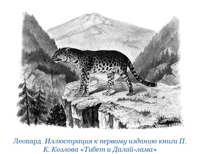 Тибет и Далай-лама. Мертвый город Хара-Хото Тибет и Далай-лама. Мертвый город Хара-Хото