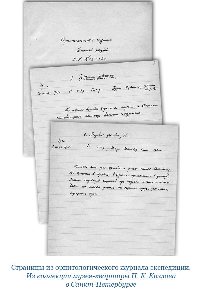 Тибет и Далай-лама. Мертвый город Хара-Хото Тибет и Далай-лама. Мертвый город Хара-Хото