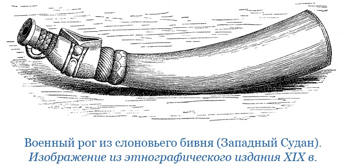 Дневники исследователя Африки Дневники исследователя Африки