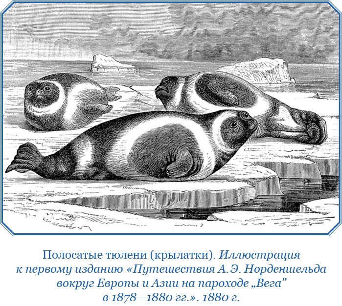 Плавания капитана флота Федора Литке вокруг света и по Северному Ледовитому океану