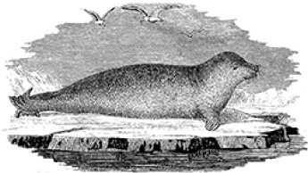 «Ермак» во льдах