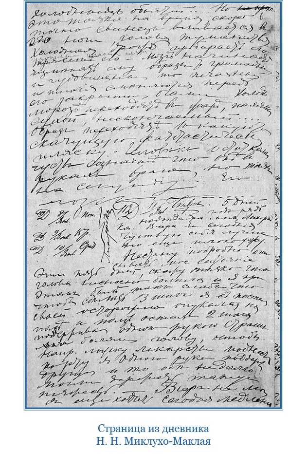 Путешествие на берег Маклая