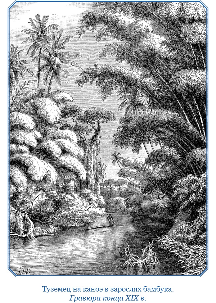 Путешествие на берег Маклая