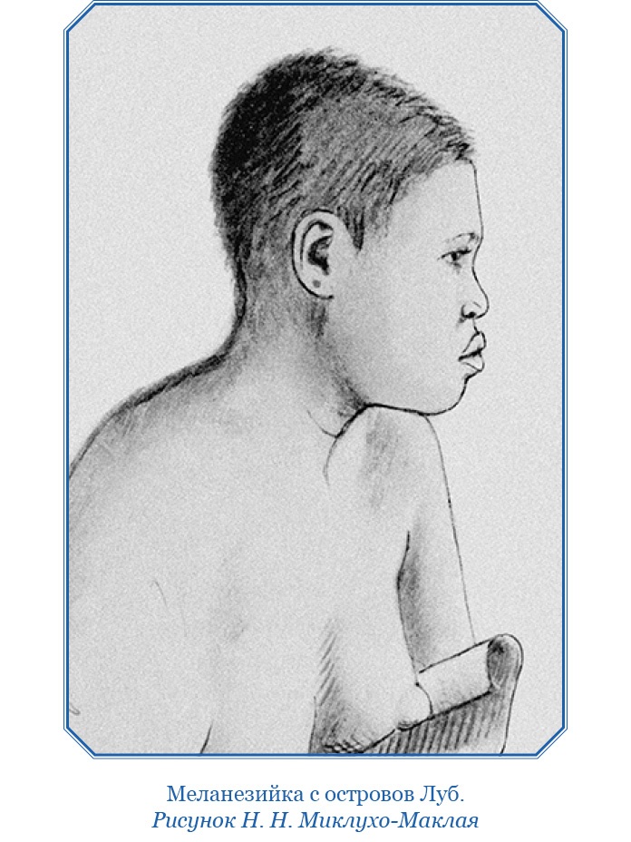 Путешествие на берег Маклая Путешествие на берег Маклая