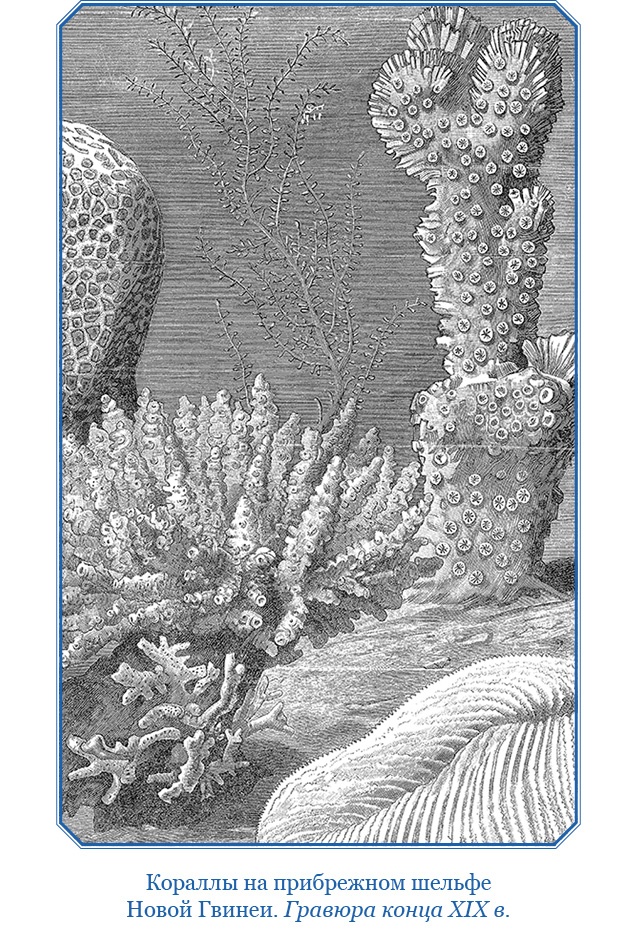 Путешествие на берег Маклая Путешествие на берег Маклая