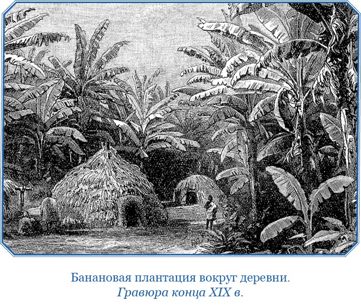 Путешествие на берег Маклая Путешествие на берег Маклая