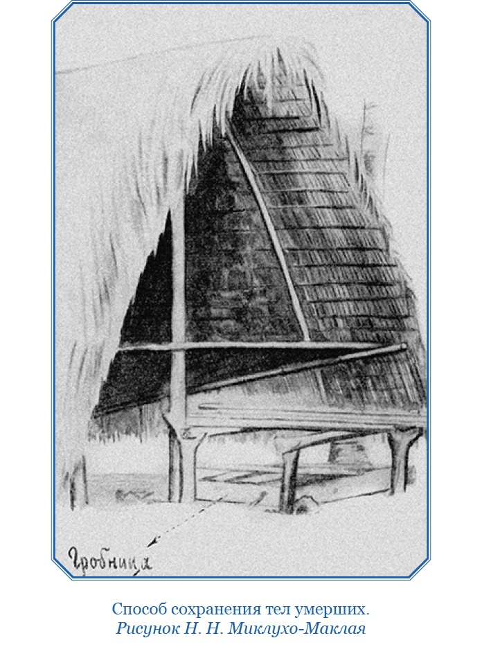 Путешествие на берег Маклая Путешествие на берег Маклая