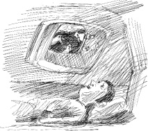 Гуд бай, Арктика!..