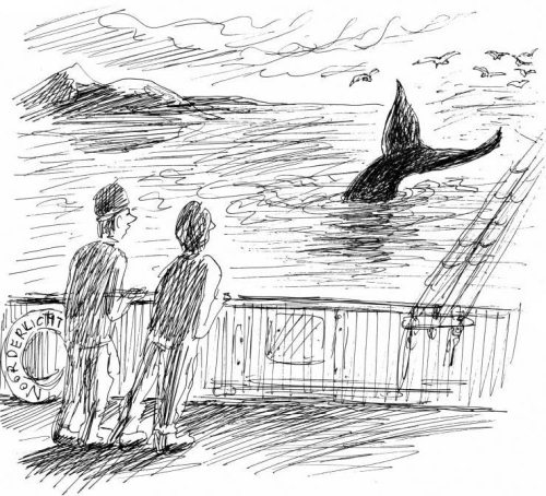 Гуд бай, Арктика!.. Гуд бай, Арктика!..