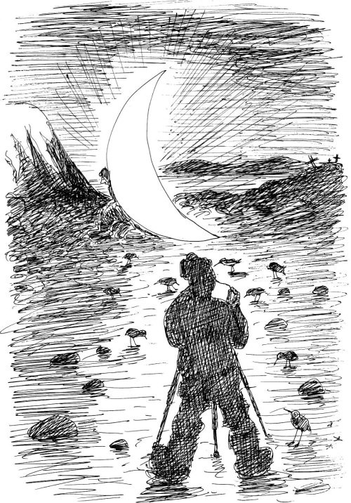 Гуд бай, Арктика!.. Гуд бай, Арктика!..