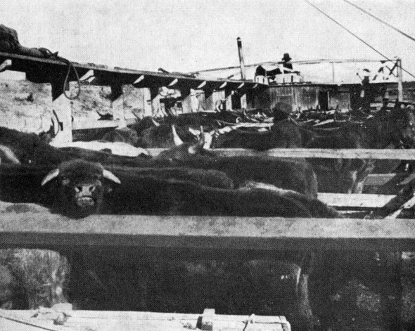 Через Сибирь