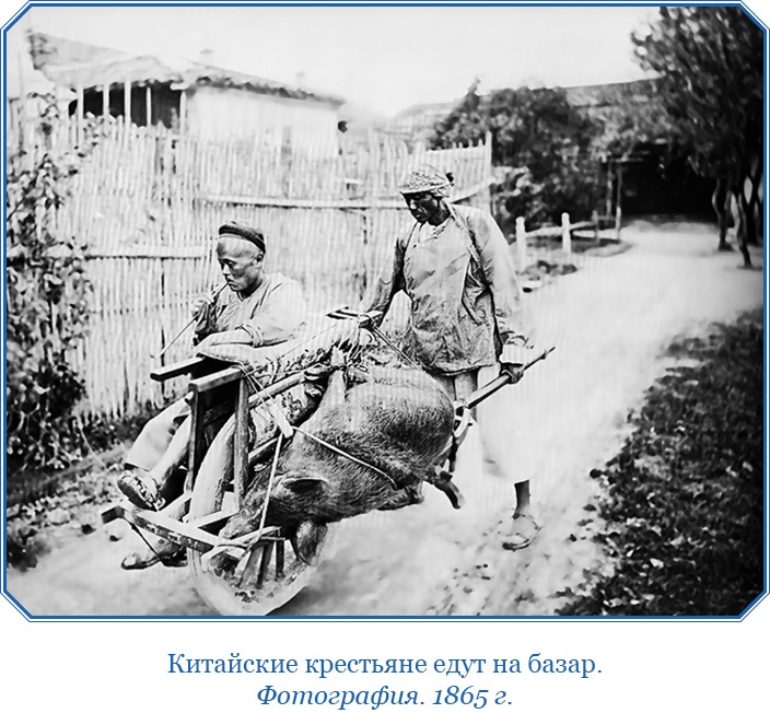 Сибирь. Монголия. Китай. Тибет. Путешествия длиною в жизнь Сибирь. Монголия. Китай. Тибет. Путешествия длиною в жизнь