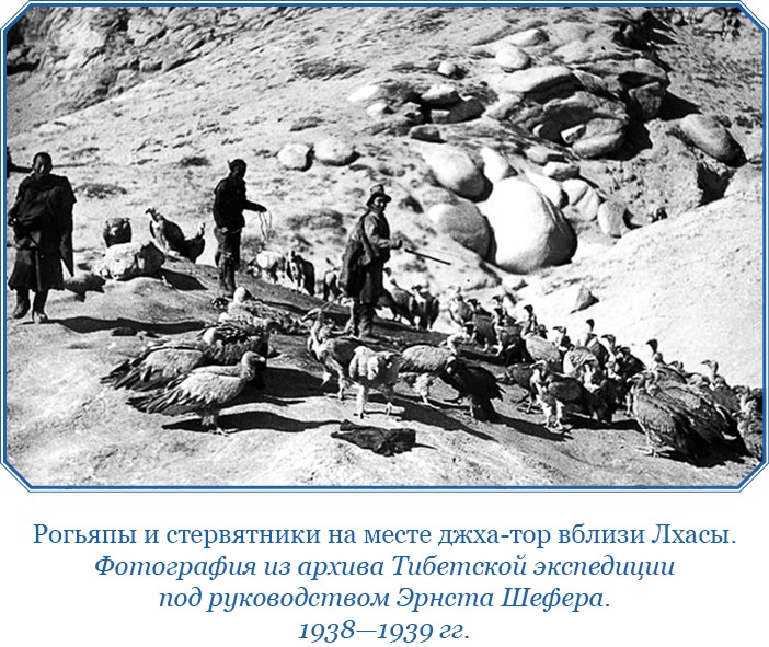 Сибирь. Монголия. Китай. Тибет. Путешествия длиною в жизнь