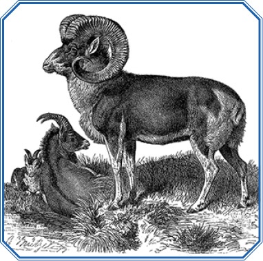 Путешествия в Центральной Азии