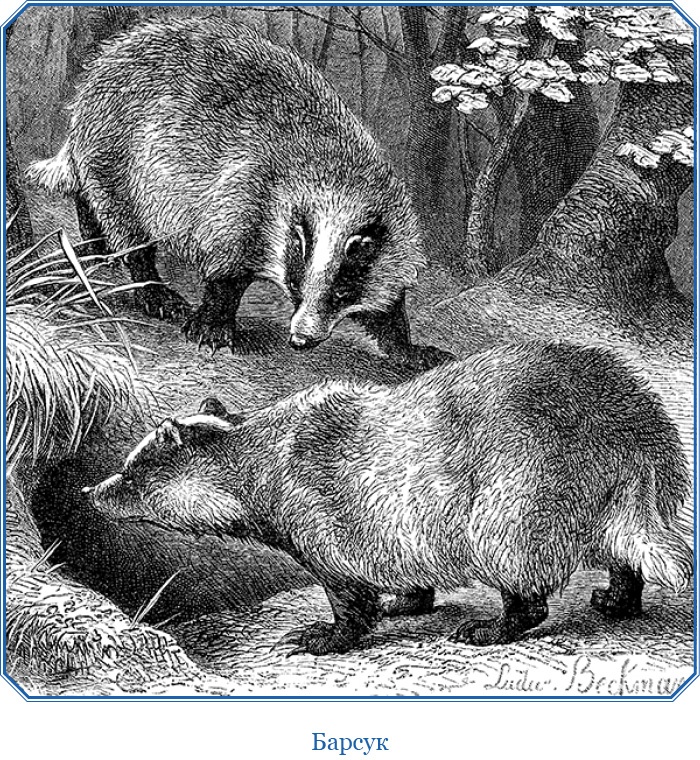 Путешествия в Центральной Азии Путешествия в Центральной Азии