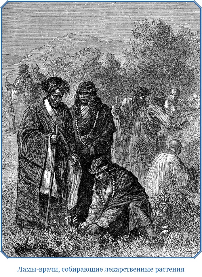 Путешествия в Центральной Азии Путешествия в Центральной Азии