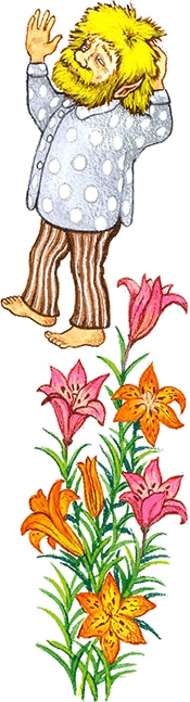 Новые приключения кошки Нюси. Сокровища короля Андраша