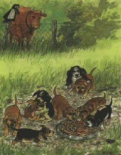 Мама My на дереве Мама My на дереве