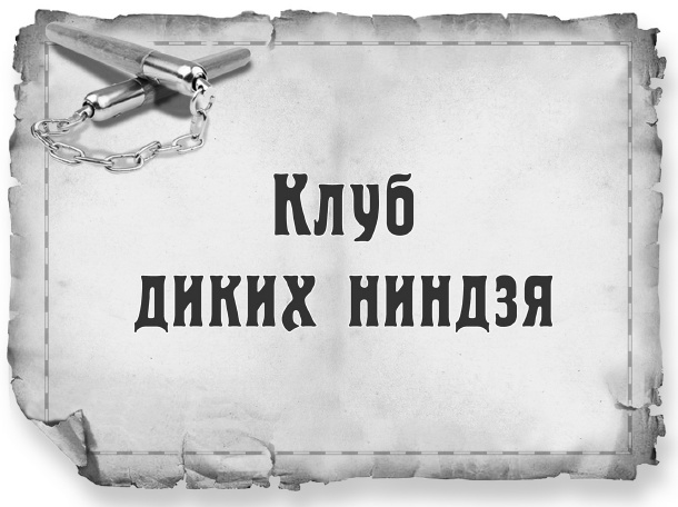 Клуб диких ниндзя. Снегурочка с динамитом Клуб диких ниндзя. Снегурочка с динамитом