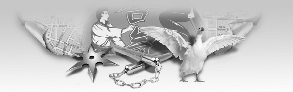 Клуб диких ниндзя. Снегурочка с динамитом Клуб диких ниндзя. Снегурочка с динамитом