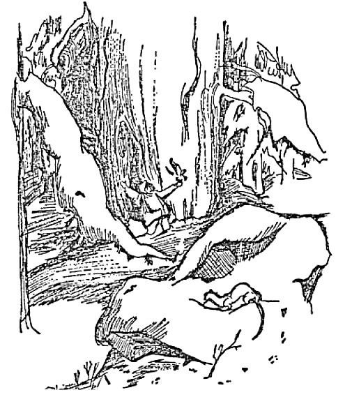 Моя сторона горы Моя сторона горы