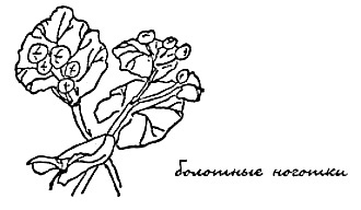 Моя сторона горы Моя сторона горы