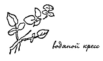 Моя сторона горы Моя сторона горы