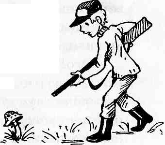 У нас в 5 "Б" У нас в 5 "Б"