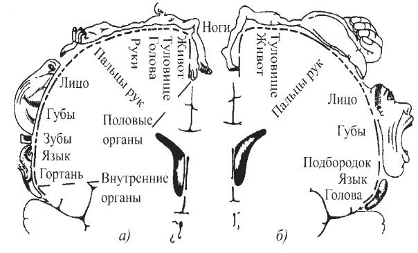Защити свое тело-4. Настроение здоровья Защити свое тело-4. Настроение здоровья