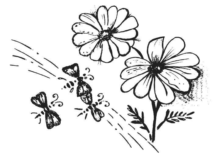 Защити свое тело-4. Настроение здоровья