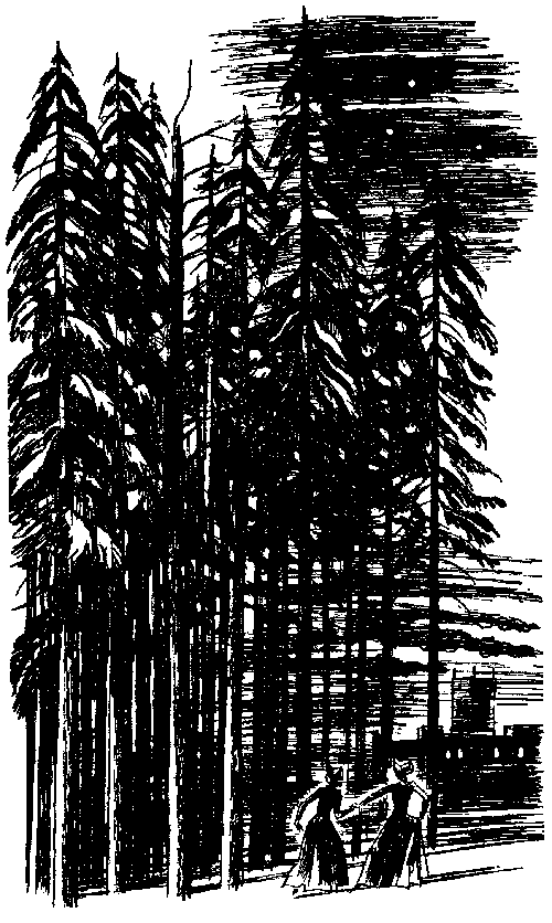 Женщина в белом Женщина в белом