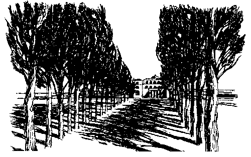 Женщина в белом Женщина в белом