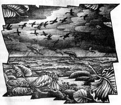 Духи реки Духи реки