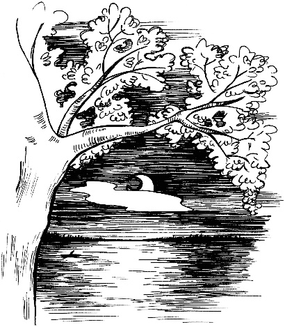 Бунт Дениса Бушуева Бунт Дениса Бушуева