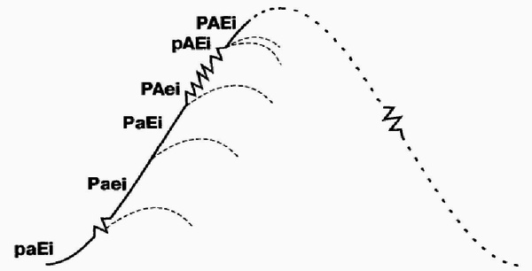 Управление жизненным циклом корпорации Управление жизненным циклом корпорации