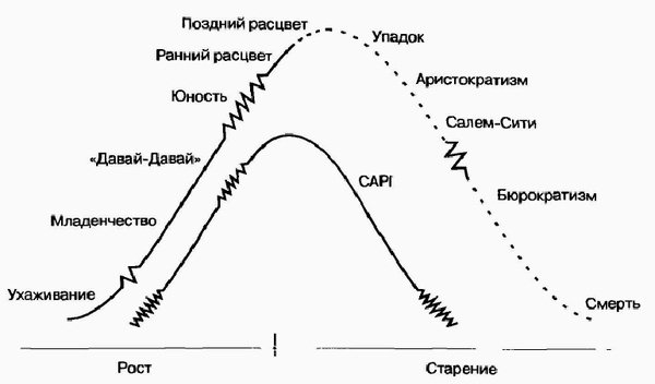 Управление жизненным циклом корпорации
