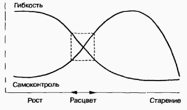Управление жизненным циклом корпорации