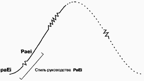 Управление жизненным циклом корпорации