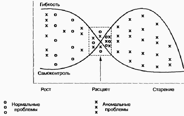 Управление жизненным циклом корпорации