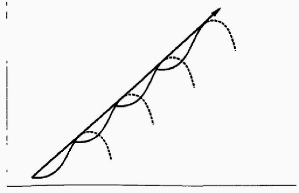 Управление жизненным циклом корпорации