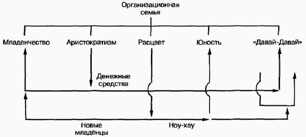 Управление жизненным циклом корпорации