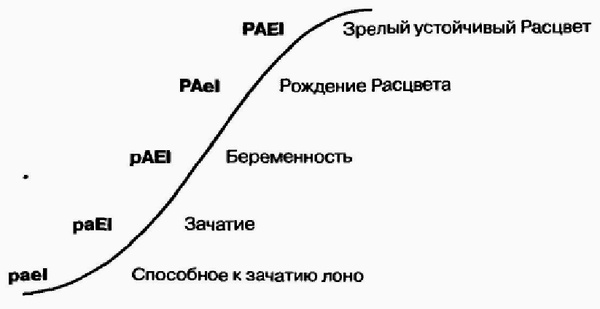 Управление жизненным циклом корпорации