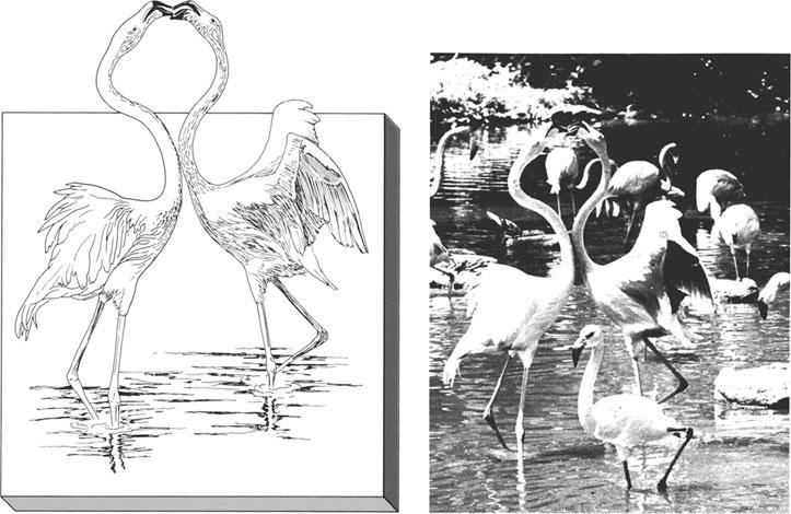 Реклама. Принципы и практика Реклама. Принципы и практика