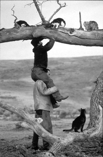 Реклама. Принципы и практика Реклама. Принципы и практика