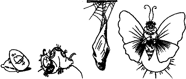 Психология эффективного менеджера. Гибкость. Эффективное управление. Психология менеджера. Книга 1. Ситуация управления Психология эффективного менеджера. Гибкость. Эффективное управление. Психология менеджера. Книга 1. Ситуация управления