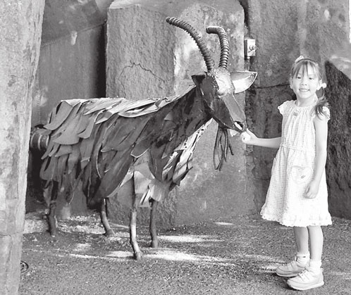 Маркетинг для государственных и общественных организаций