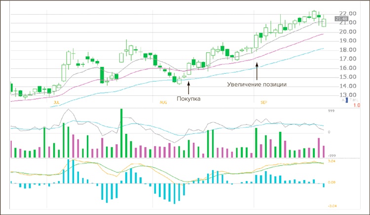 Входы и выходы. 15 мастер-классов от профессионалов трейдинга