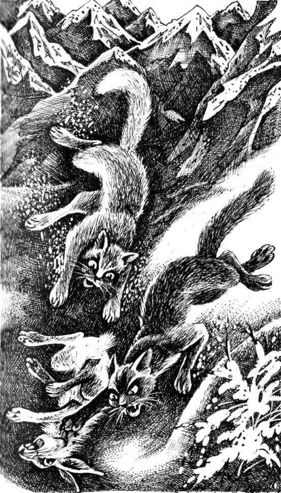 Солнечный путь